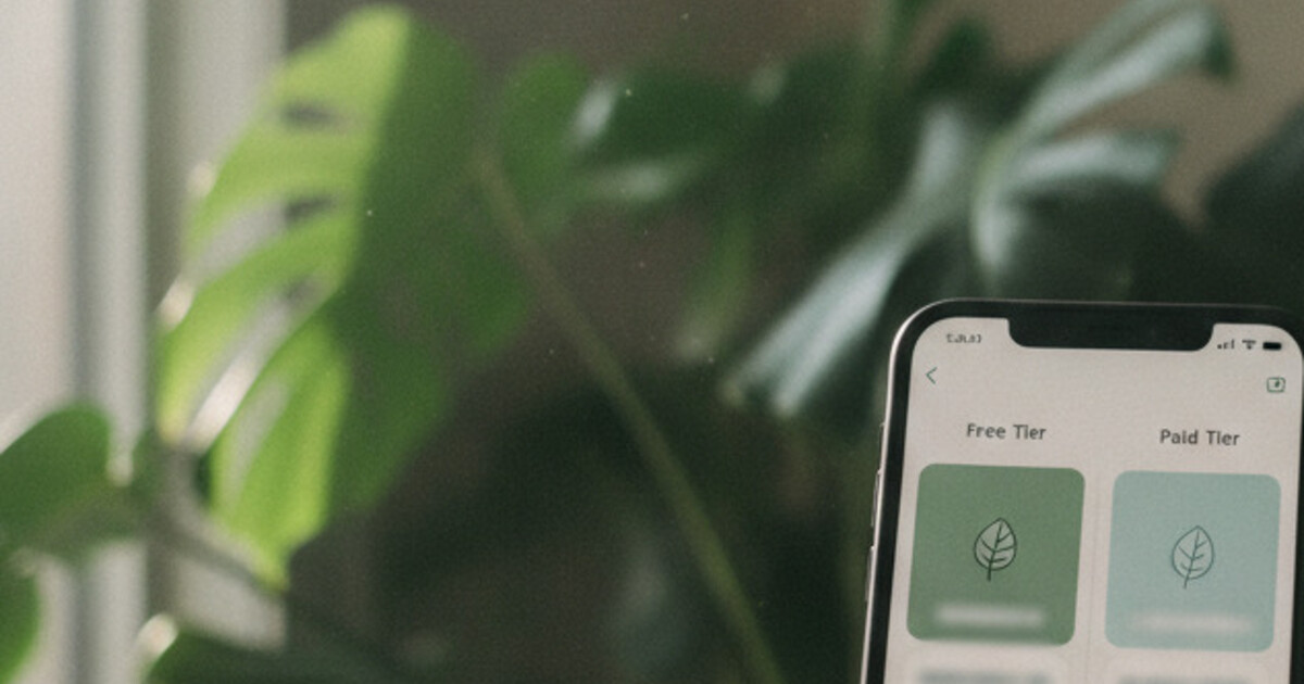 Smartphone showing a plant identification app interface with a green houseplant in the background