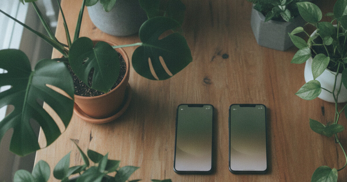 Two smartphones side by side on a wooden surface next to potted houseplants, showing plant app comparison in soft natural light