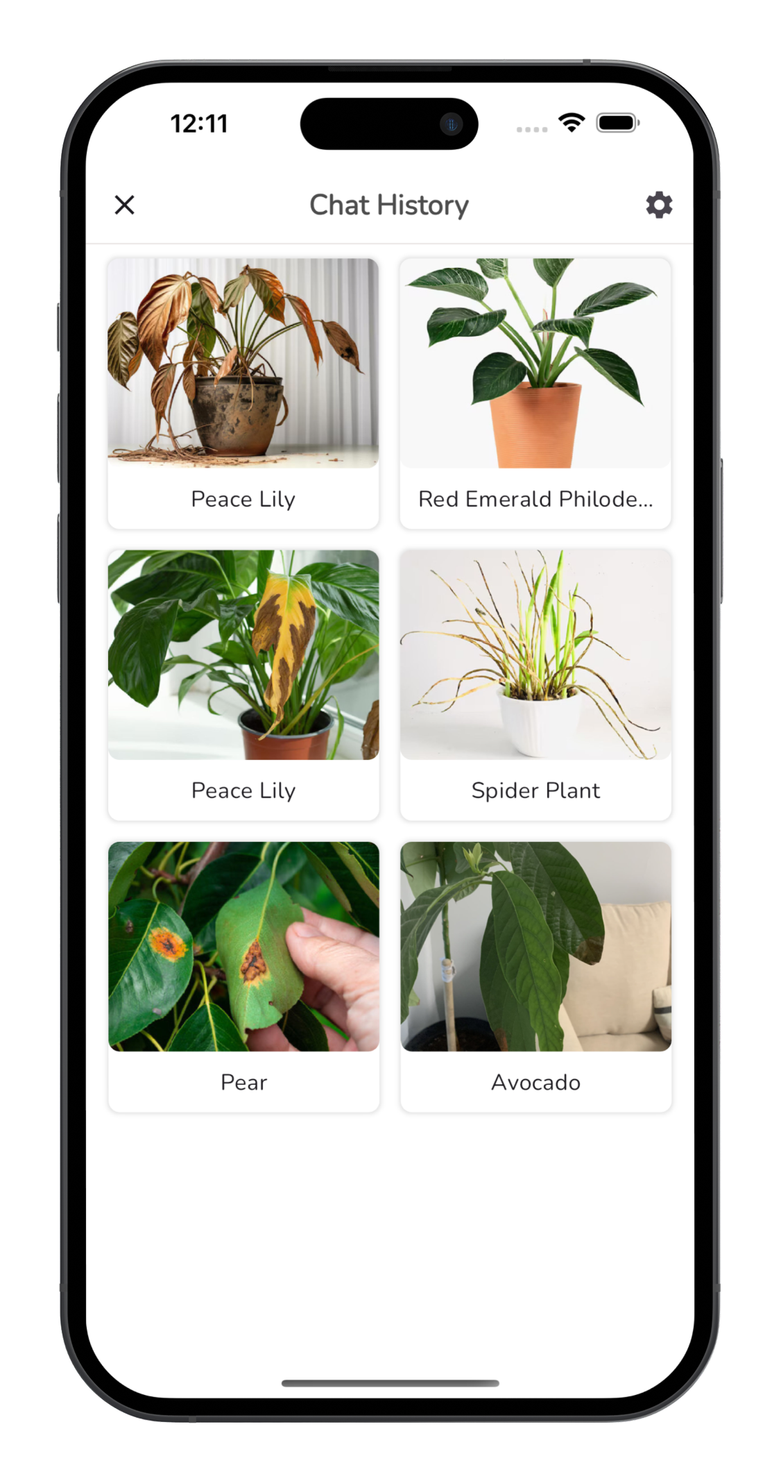 Plant Identifier Free app screenshot - plant identification example 1