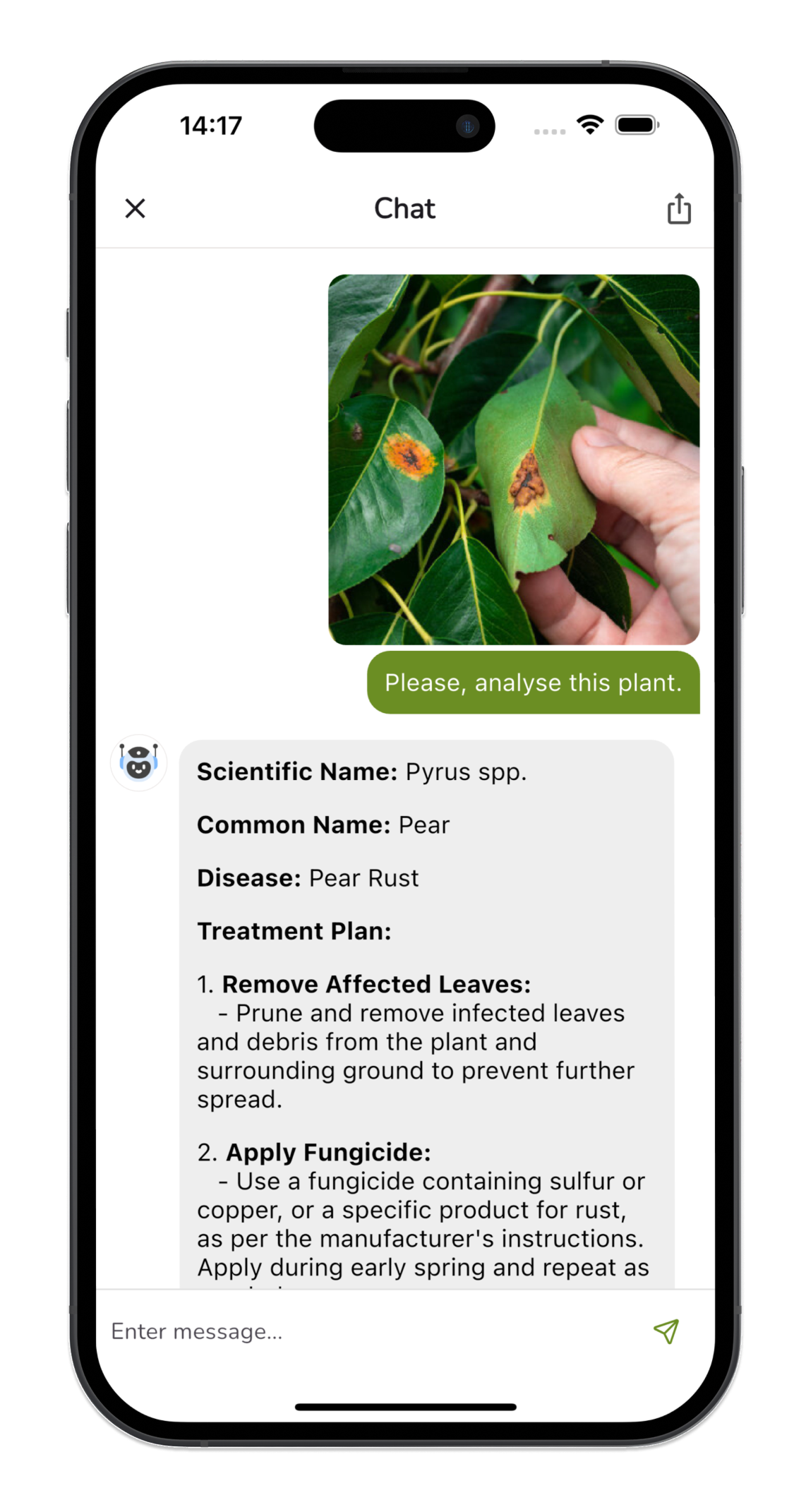 Plant Identifier Free app screenshot - plant identification example 3