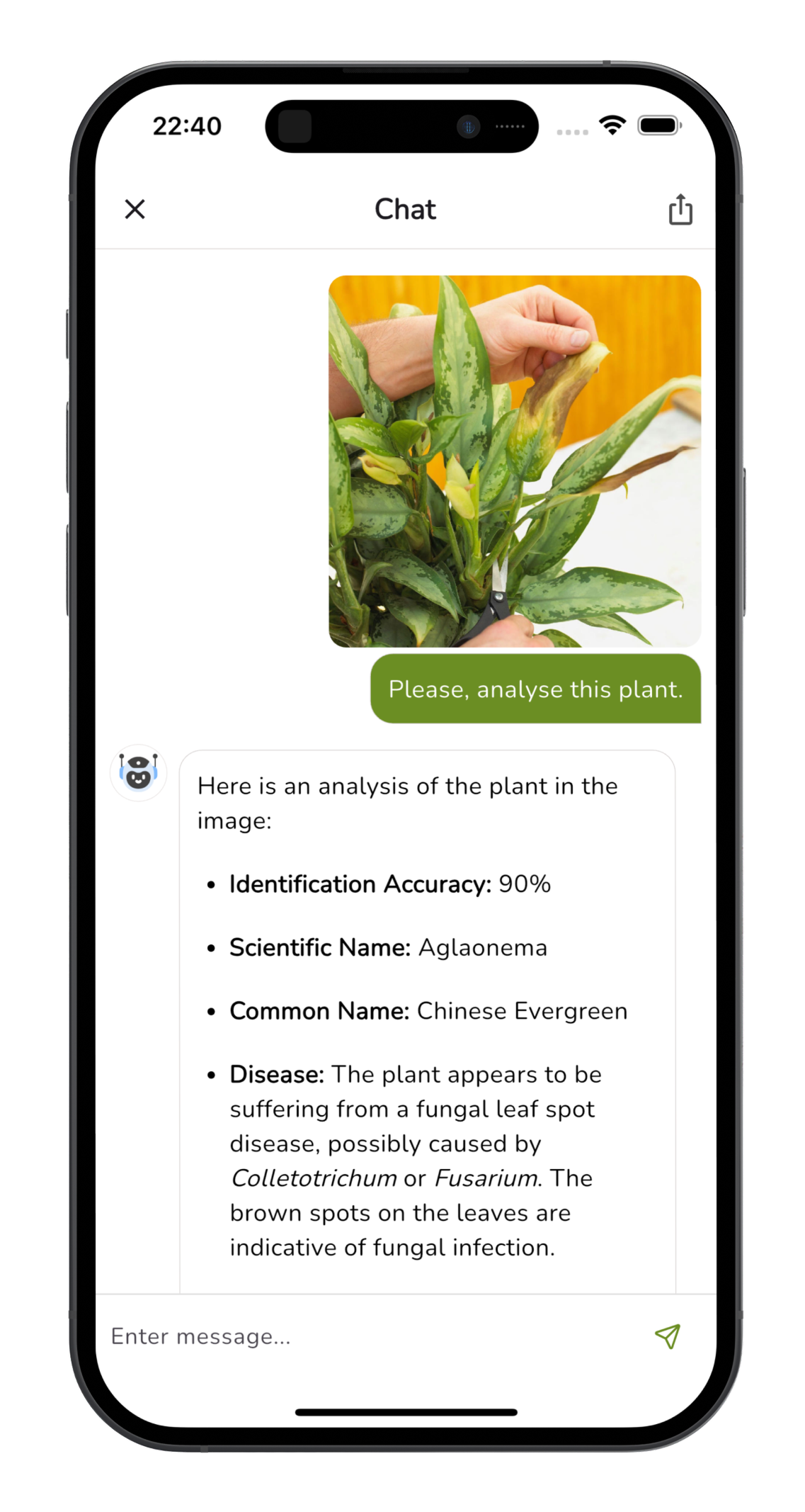 Plant Identifier Free app screenshot - plant identification example 4