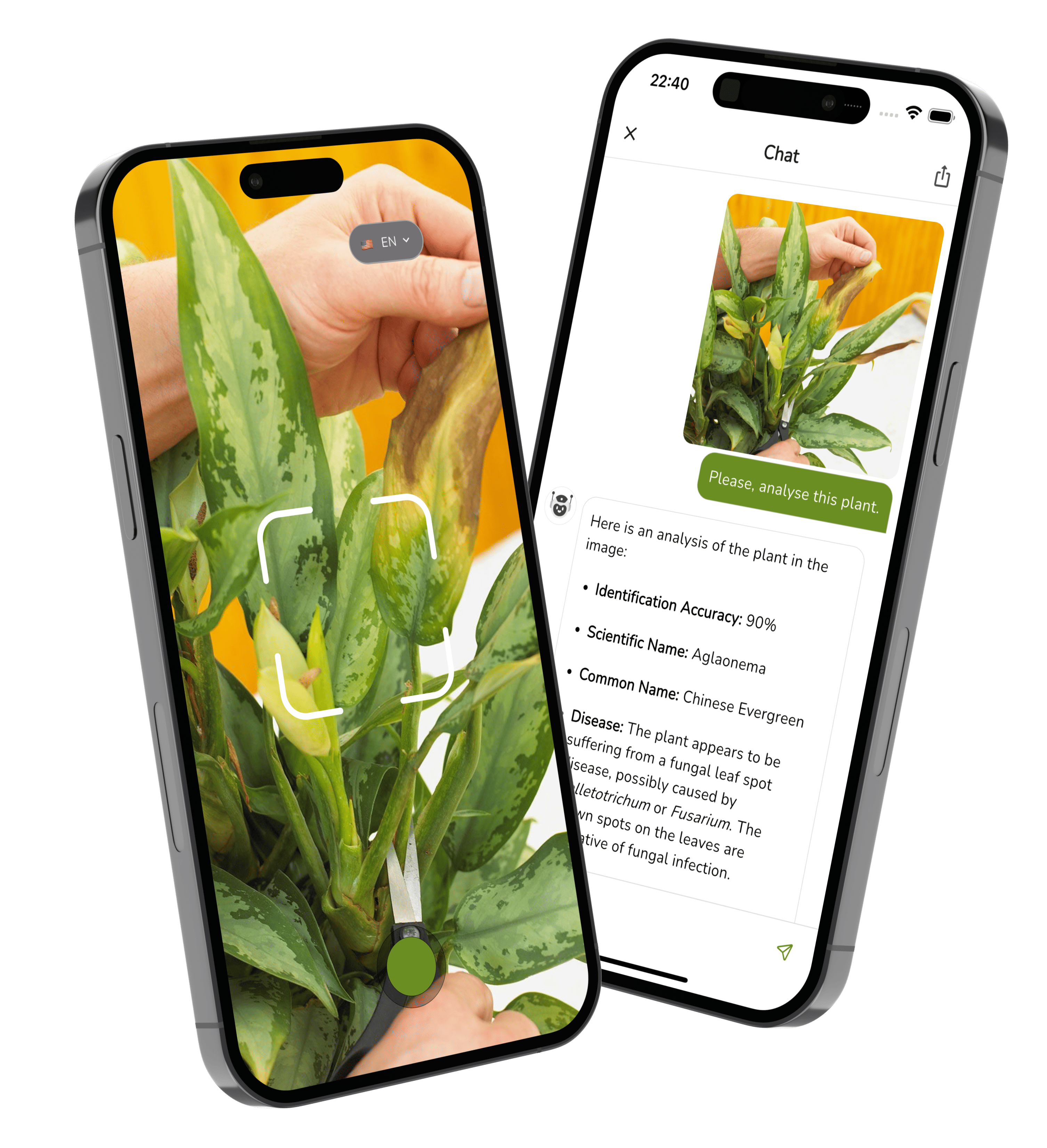 Plant Identifier Free app main screenshot showing plant identification results